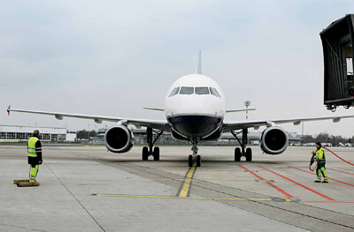 BlueWings_400x263